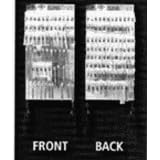 2PK 1 2 OD CMP Spring by Century Spring