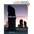 Walk into Prehistory: Discovering over Forty of the Greatest Ancient Sites of Britain and Ireland