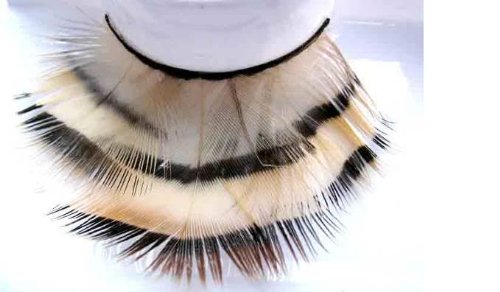 2 Paare Feder Wimpern SA-51 - Braun und Schwarz Preisvergleich