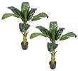 TWO Pre-Potted 4' Artificial Banana Tropical Trees