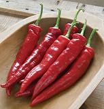 David's Hot Pepper Combo Pack 5 Varieties 50 Seeds per Order