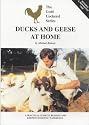 Ducks and Geese at Home (Gold Cockerel Series)