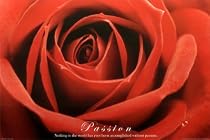 Red Rose (Passion) Art Poster Print - 61x91 cm