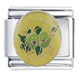 Two Peas In A Pod Italian Charms Bracelet Link