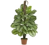 52 Calathea Silk Plant (Real Touch)