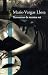Travessuras Da Menina Má (Paperback)