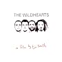 The Wildhearts - Live in the Studio - A Film by Tim Smith [DVD] [2009]