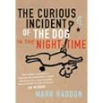 The Curious Incident of the Dog in the Night-time