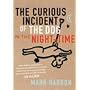 The Curious Incident of the Dog in the Night-time by Mark Haddon