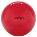 GoFit Exercise Ball