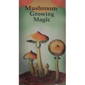 Mushroom Growing Magic