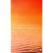 Wide Sargasso Sea (Essential Penguin)