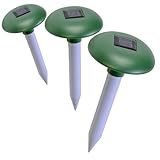 Détails sur le produit