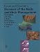Diseases of the Nails and Their Management