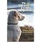 Alternative Cookbooks for You and Your Pet!