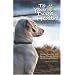 To Your Dog's Health!: Canine Nutrition and Recent Trends Within the Pet Food Industry