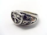 Katekyo Hitman Reborn Cosplay Costume Accessories - Vongola Metal Ring of Rain V2
