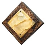 Geos 08162 Wall Sconce by Ultralights