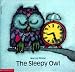 Books : The Sleepy Owl