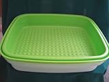 Tupperware Large Season Serve Container Lime