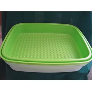 Tupperware Large Season Serve Container Lime by