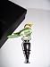 Two's Company New Hand Blown Glass Bird and Silver Bottle Stopper Wine Plug in Gift B...