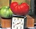 Big Zac Tomato 15 Seeds- World's Largest Tomato - HUGE