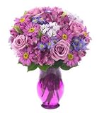 Lovely Lavender