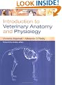Introduction to Veterinary Anatomy & Physiology