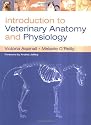 Introduction to Veterinary Anatomy & Physiology