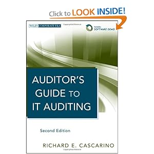 It Auditing