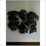 Set of 6 Grape Magnets