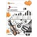 SanDisk slotRadio Masterworks Classical Music Card (60 Hours)