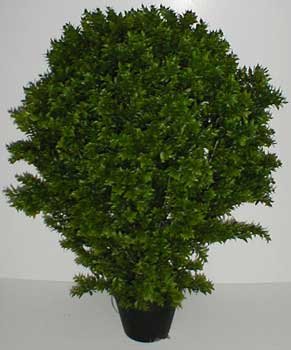 38" INDOOR / OUTDOOR Deluxe Basil Leaf Plant