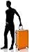 Nautica Ahoy Hardside Expandable 4-Wheeled Luggage-28 Inch Checked Size, Orange/Silver, 28