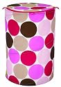 Sassy Pop Up Portable Organizer , Pink Mod