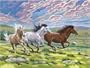 Senior Paint By Number Set Gallop Horse