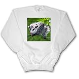 Wild animals - Opossum - Sweatshirts