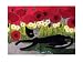 Perche Io by Rosina Wachtmeister Fine Art Print / Poster 19.75 x 15.75 in. Image