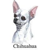 Chihuahua (White) Spoon Rest