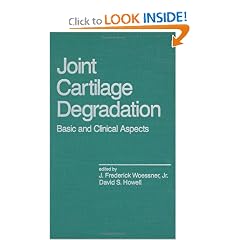 Joint Cartilage Degradation (Inflammatory Disease and Therapy) by Jr.