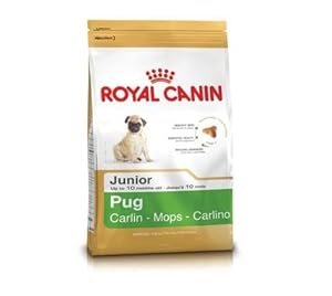 1.5KG Royal Canin Pug Junior Complete Dog Food