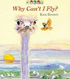 Why can't I fly?