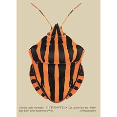 Heteroptera