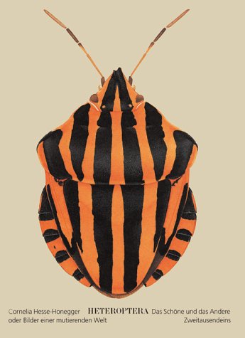 Cornelia Hesse-Honegger: Heteroptera