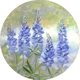 Bluebonnets Sandstone Thirstystone Coasters