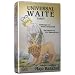 Universal Waite Tarot. Pocket