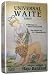 Universal Waite Tarot. Pocket