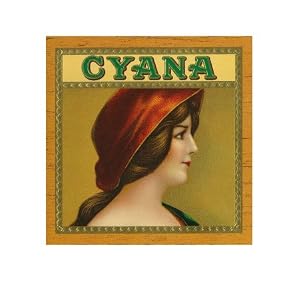 Brand Cigar Stretched Canvas Poster