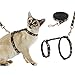 SCIROKKO Cat Harness and Leash Set - Escape Proof Adjustable for Outdoor Walking with Safety Buckle, Moon and Star